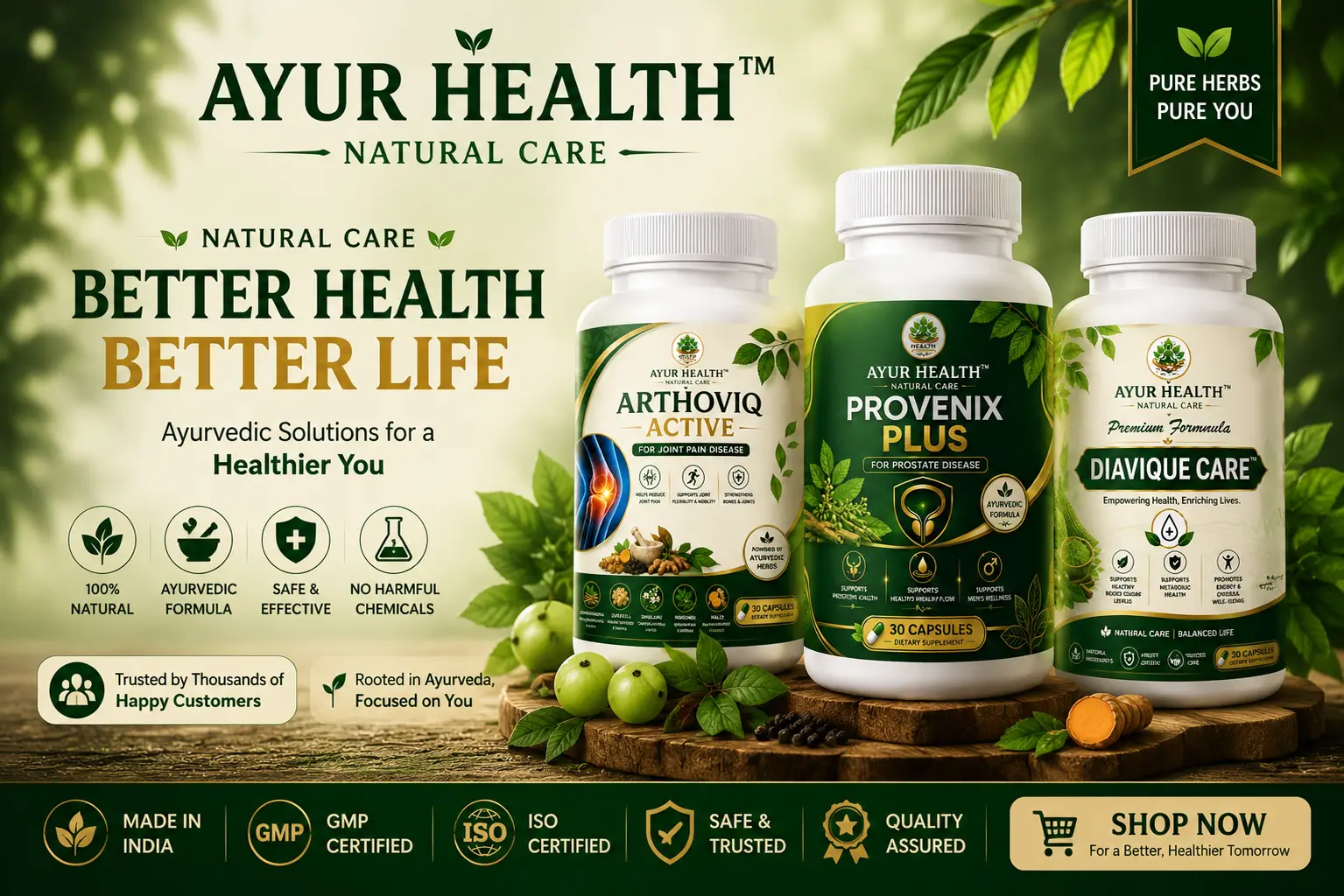Health Ayurveda Banner